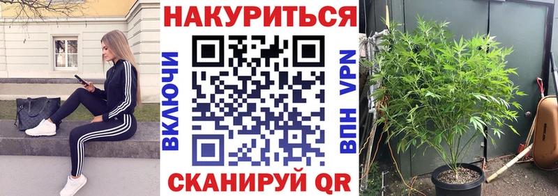 Купить наркоту Нестеровская МДМА Гашиш Alpha-PVP
