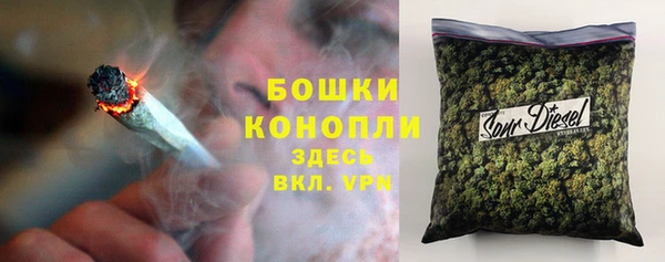 шишки Алзамай