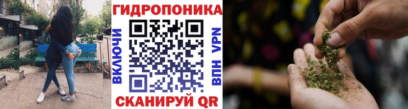 Бошки Шишки тримм  где купить наркотик  Нестеровская 